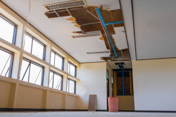 Best Professional water damage repair  in Bowling Green, OH