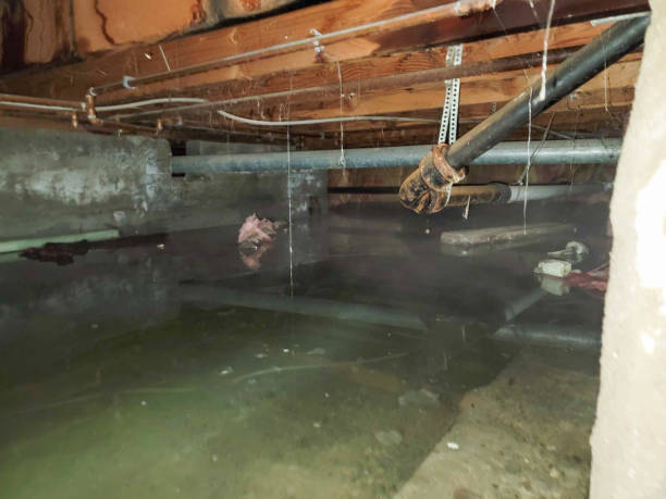 Best 24/7 water damage repair  in Bowling Green, OH