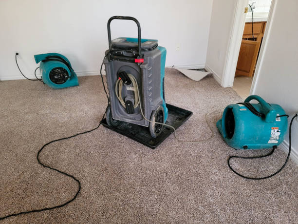 Best Mold removal after water damage  in Bowling Green, OH