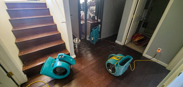 Best 24-hour water damage restoration  in Bowling Green, OH