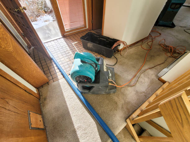 Best Sewage cleanup and water damage restoration  in Bowling Green, OH