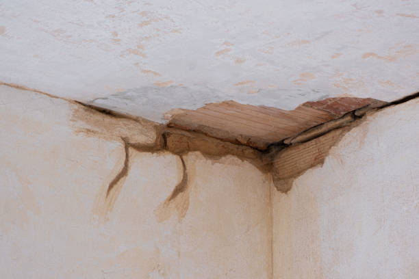 Water damage restoration mold remediation in OH